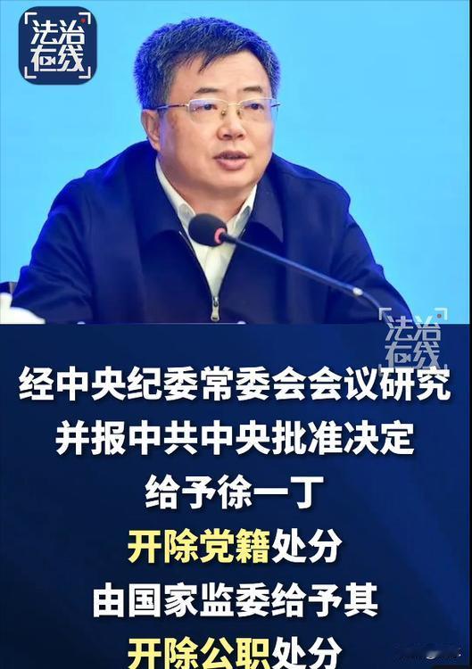 大搞权钱交易，农发行原副行长徐一丁被双开。翻看徐一丁的履历，我发现他是一名典