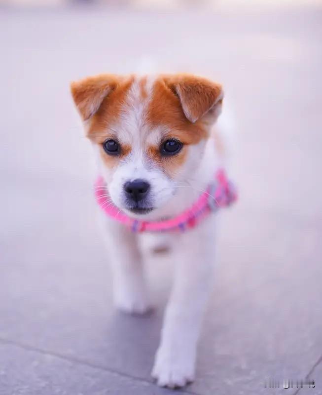 不管在哪上班，都记住这五句掏心窝子的话：第一，别总想着讨好所有人，把活干漂亮