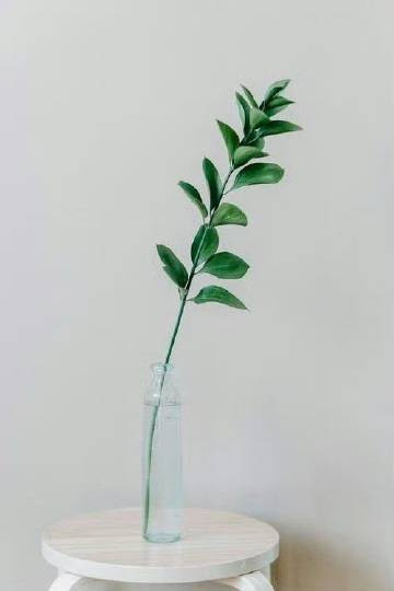 -一个人情绪稳定的背后，是实力，也是格局。简单事不争吵