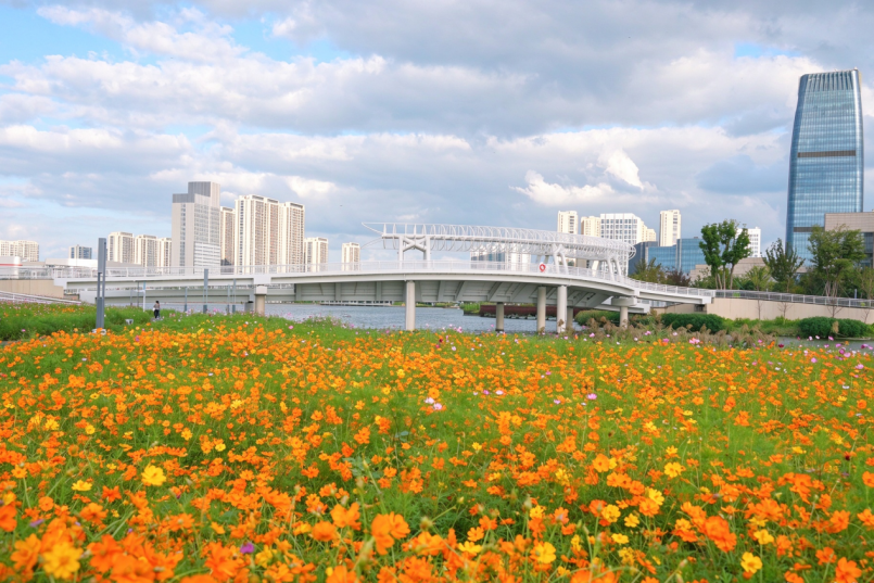 一湖揽胜景 四季觅芳踪 杭州市钱塘区东沙湖公园书写滨水生态新答卷