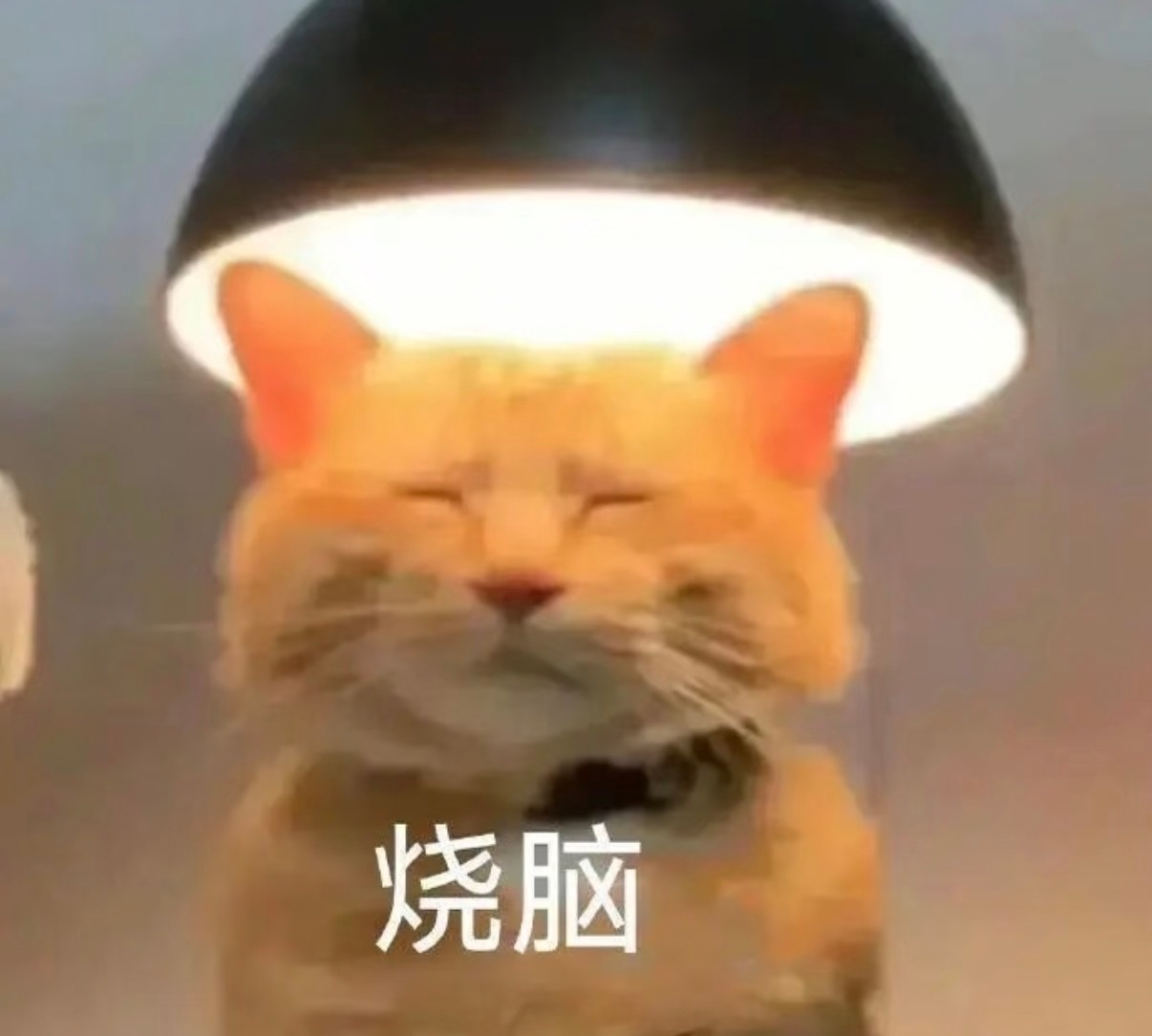 芒果台这双眼到底能看多远，我不太想聊它捧红过谁。捧人这事，事后复盘谁都能说得头头是道。我更在意它敢不