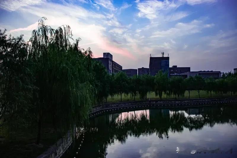 2024年夏天，南京应天职业技术学院的44名专职教师站在了人生的十字路口。这所学