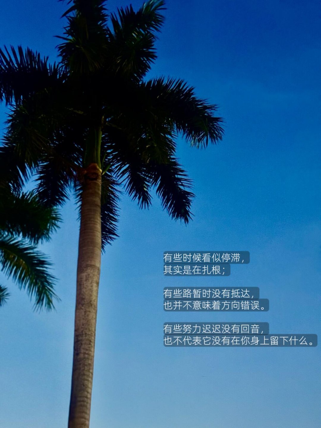 眼前是处境，远方才是人生。写给低谷期的自己！有段时间，我总觉得自己走得很慢。想做