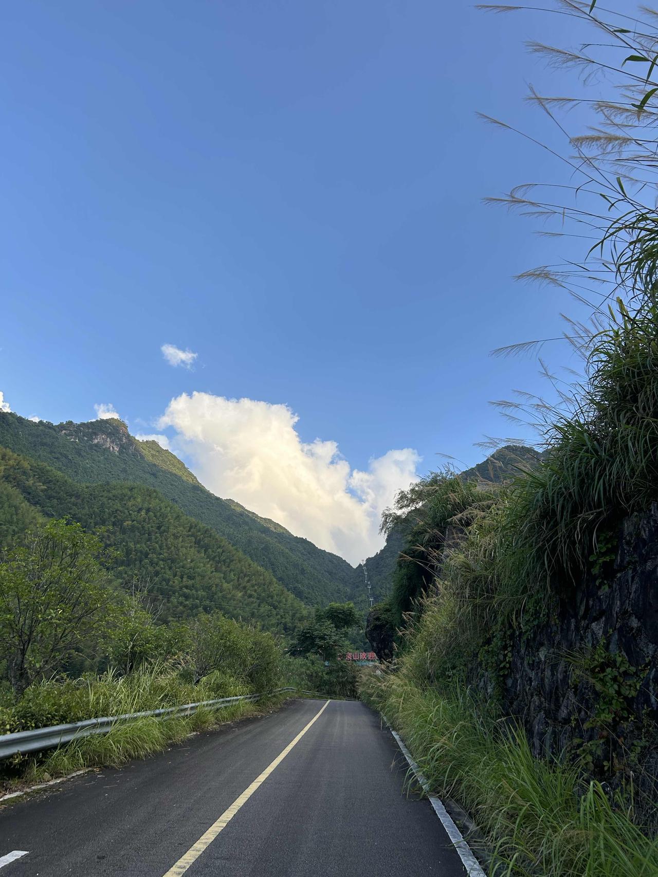 秋日生活打卡季西湖烟雨入怀，尽是江南温柔。