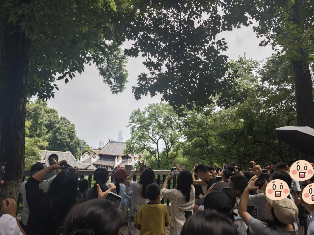 长沙丨爬岳麓山最理解不了的拍照打卡点