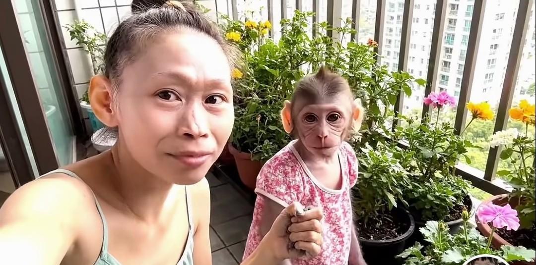 是猴子进化了吗？太像了！[呲牙笑][呲牙笑]