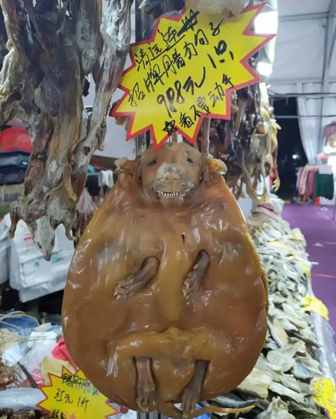 土狗看了一眼，打了个冷颤！