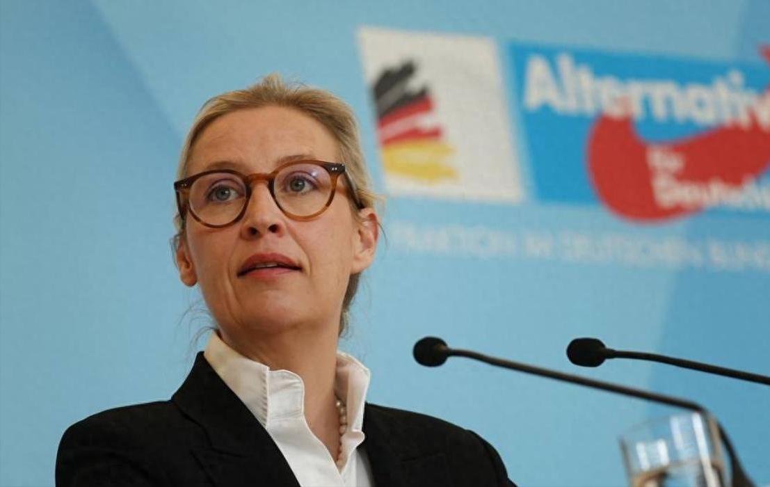 欧洲的骨碌碌一张老面孔，如今多了些摇晃。2026年德国另类选择党（AfD）在民调