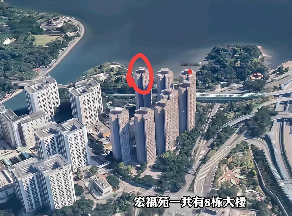 香港被烧的这几栋楼可不是什么普通居民楼。看看被烧前的样子，真是没有对比就没有