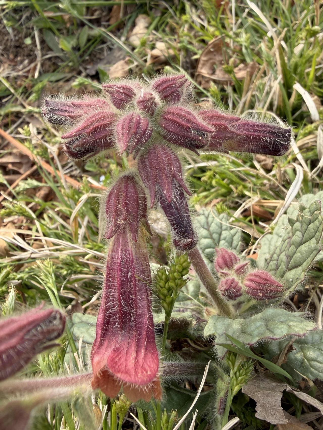 听说拼夕夕被罚，大家也别嘲笑它。许多人已戒不掉，不要问我因为啥。使用起来