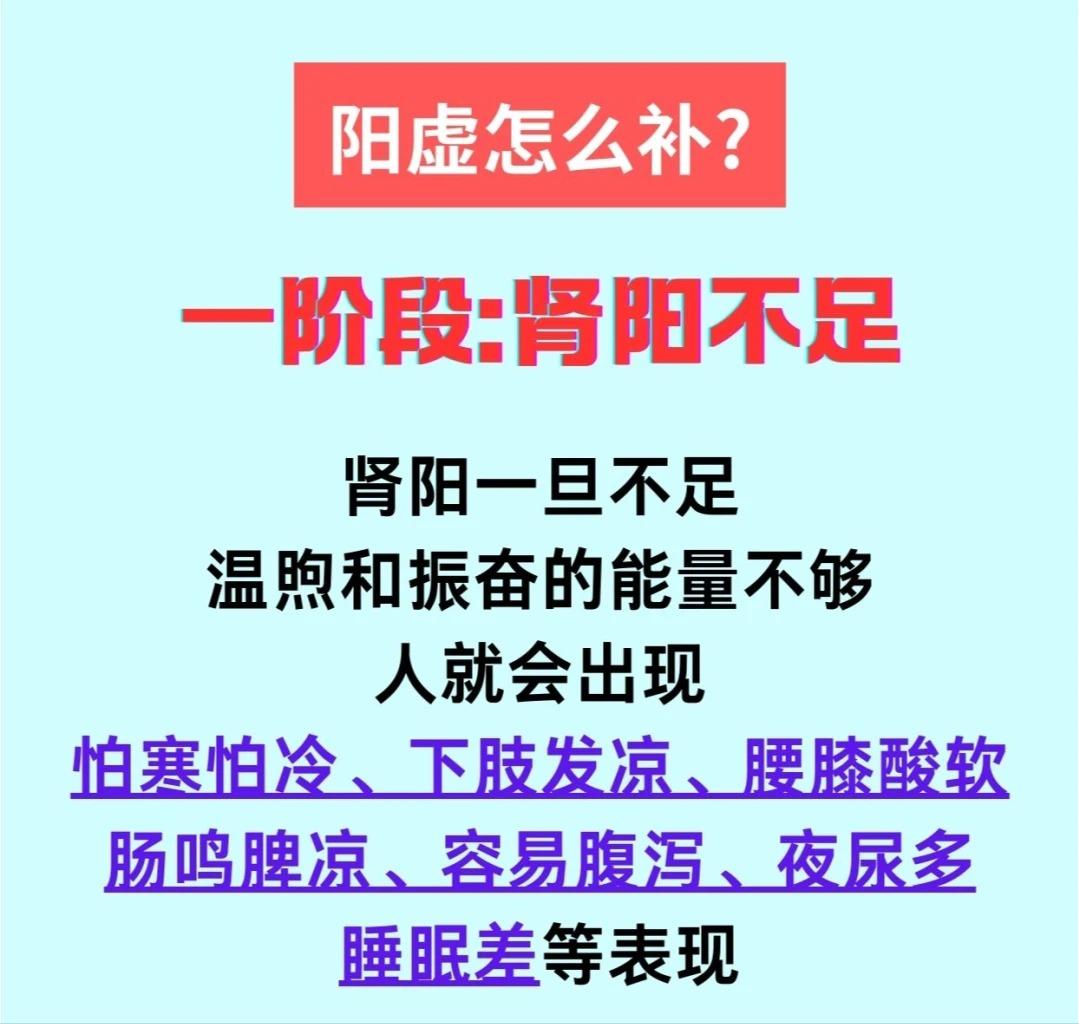 阳虚一般分为几种类型？