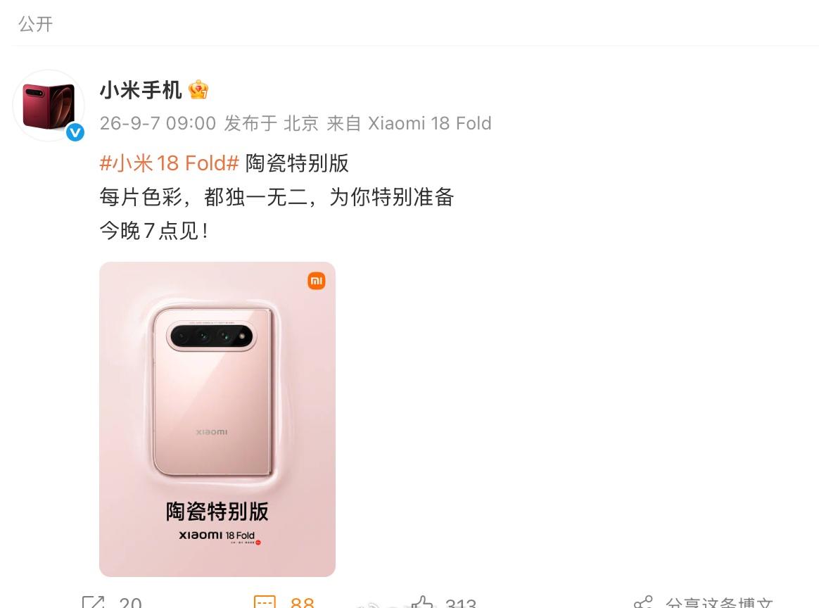 Fold还有陶瓷特别版，这是很有东方美学设计感的版本，陶瓷材质的质感确实一流，估