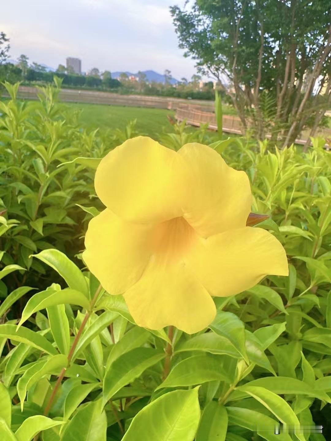 这女子将来受苦受累就是该！一女子，山东人30岁，在网上谈了一个江苏的27岁的男朋