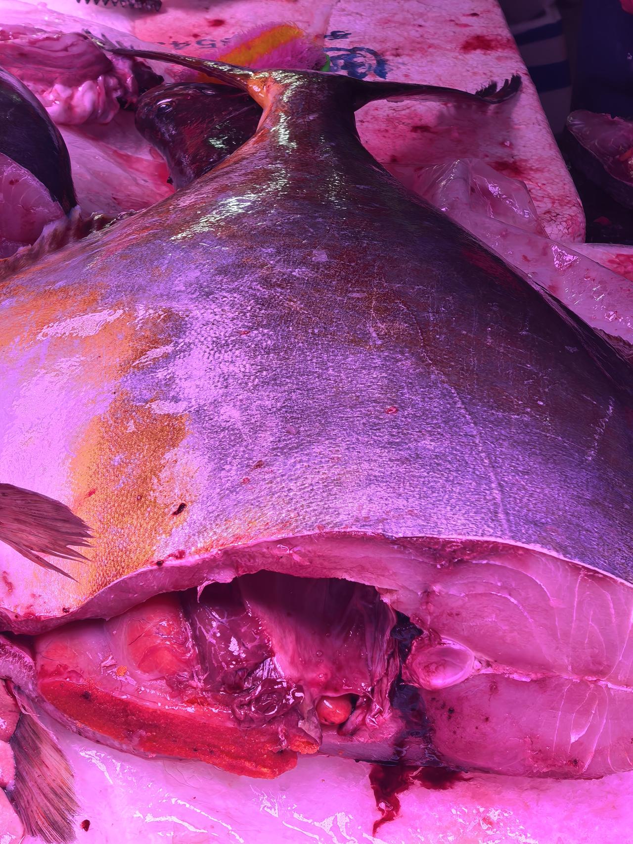 这是我在菜市场见过最大的金鲳鱼了。每个周末，对于我这个地地道道的雷州人，最喜欢