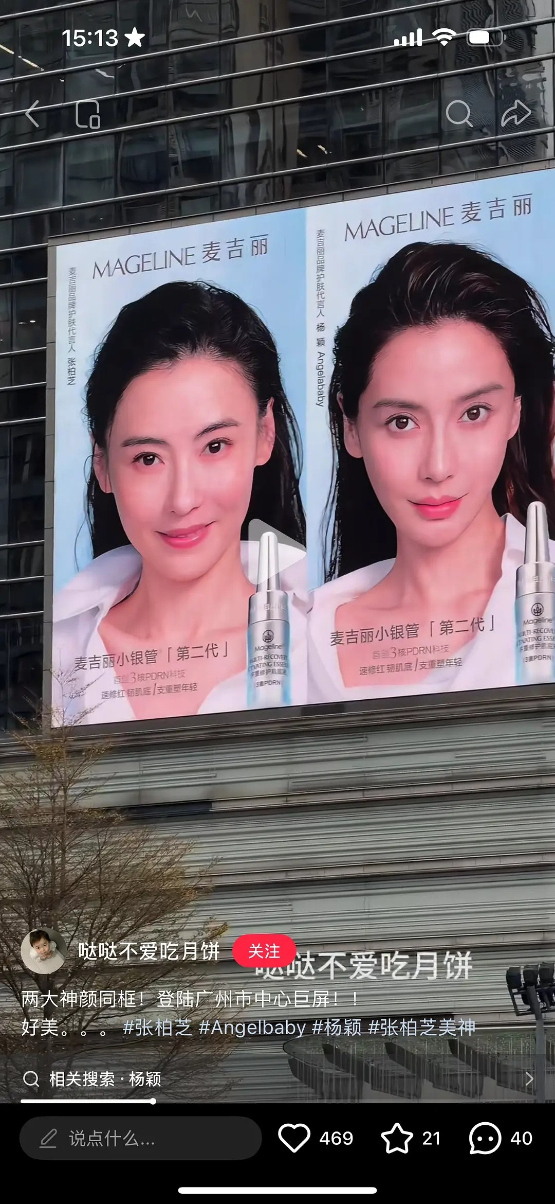 张柏芝和baby这个真的太权威了吧