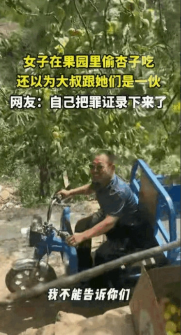 “丢大人了！”6月17日，女子在果园里偷杏子吃，大叔路过，也摘了一个，女子以为大