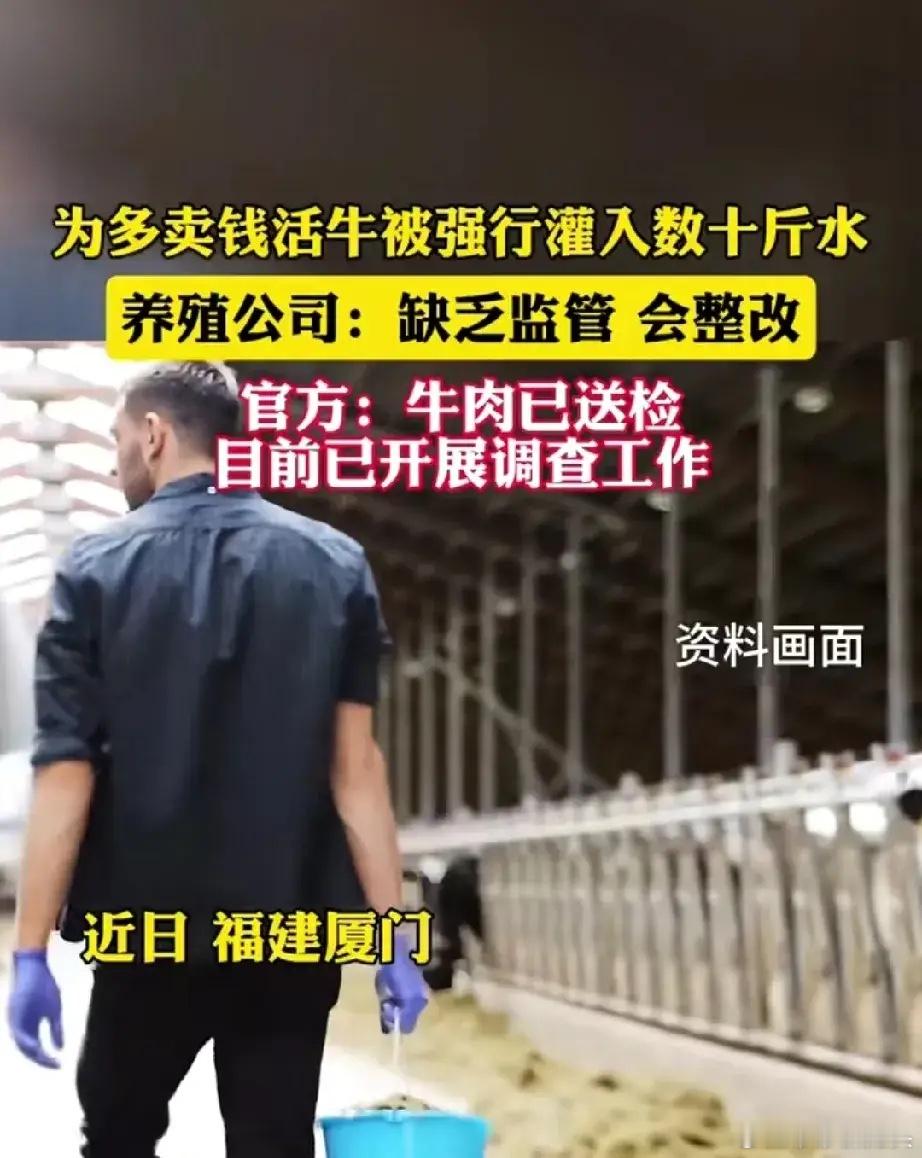 一觉醒来，经常吃牛肉的人沉默了!近日，福建厦门，有市民爆料称在一处高速大桥下存在