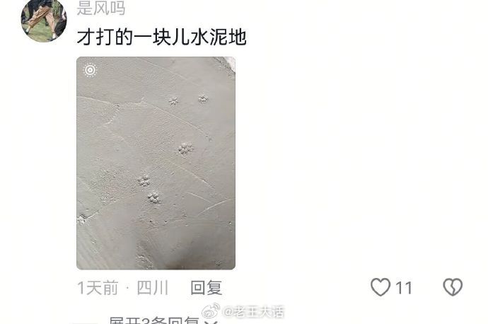 小猫咪走过的地方都留下了痕迹！！