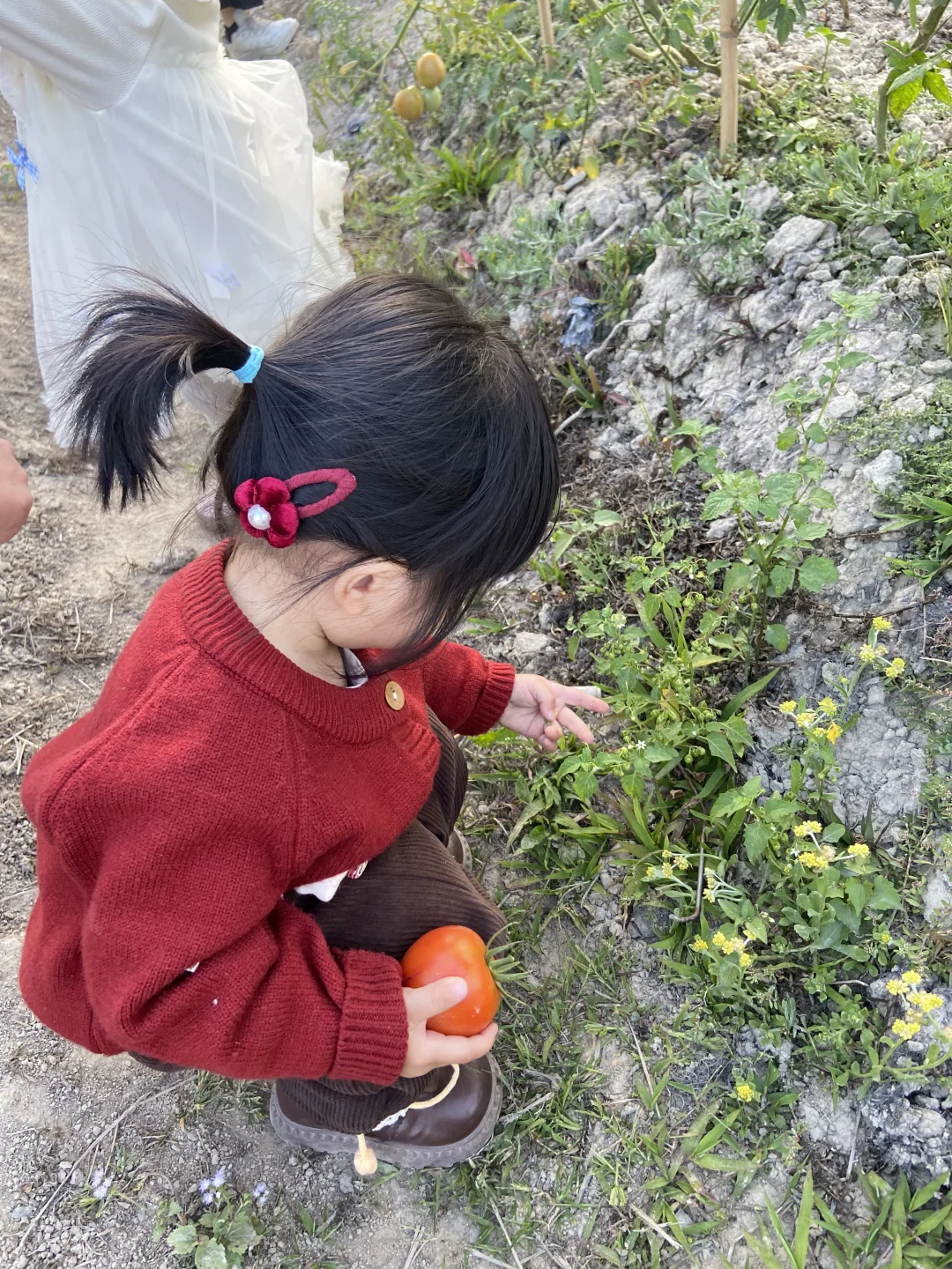 高质量陪娃｜享受慢节奏的亲子时光🌷