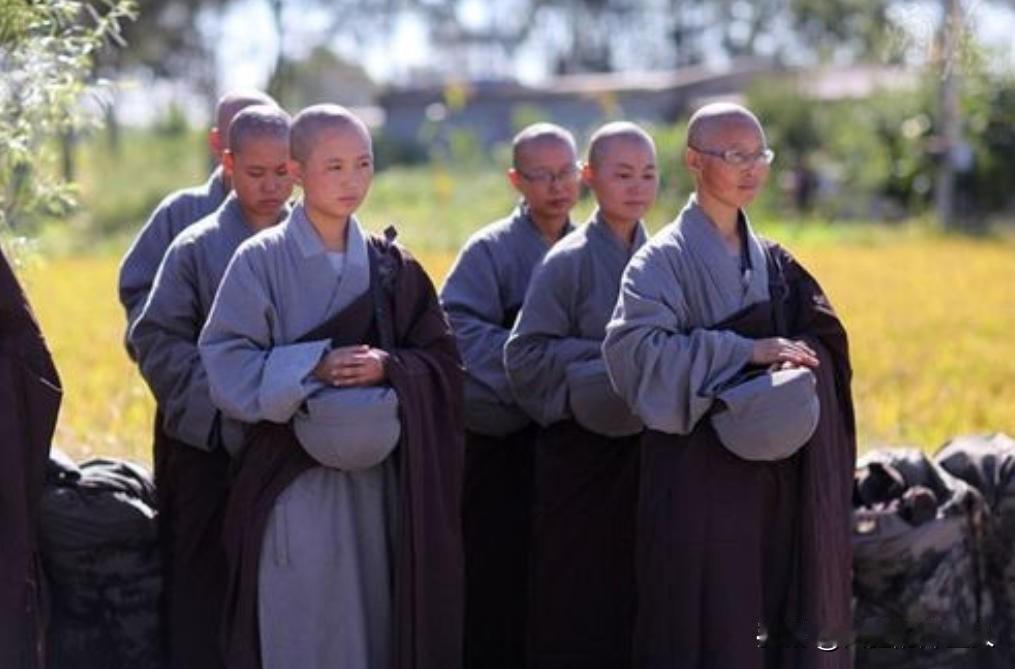 辽宁省有一座寺庙，里边住了100多个尼姑，这里的尼姑们每天只能睡4个小时，吃一顿