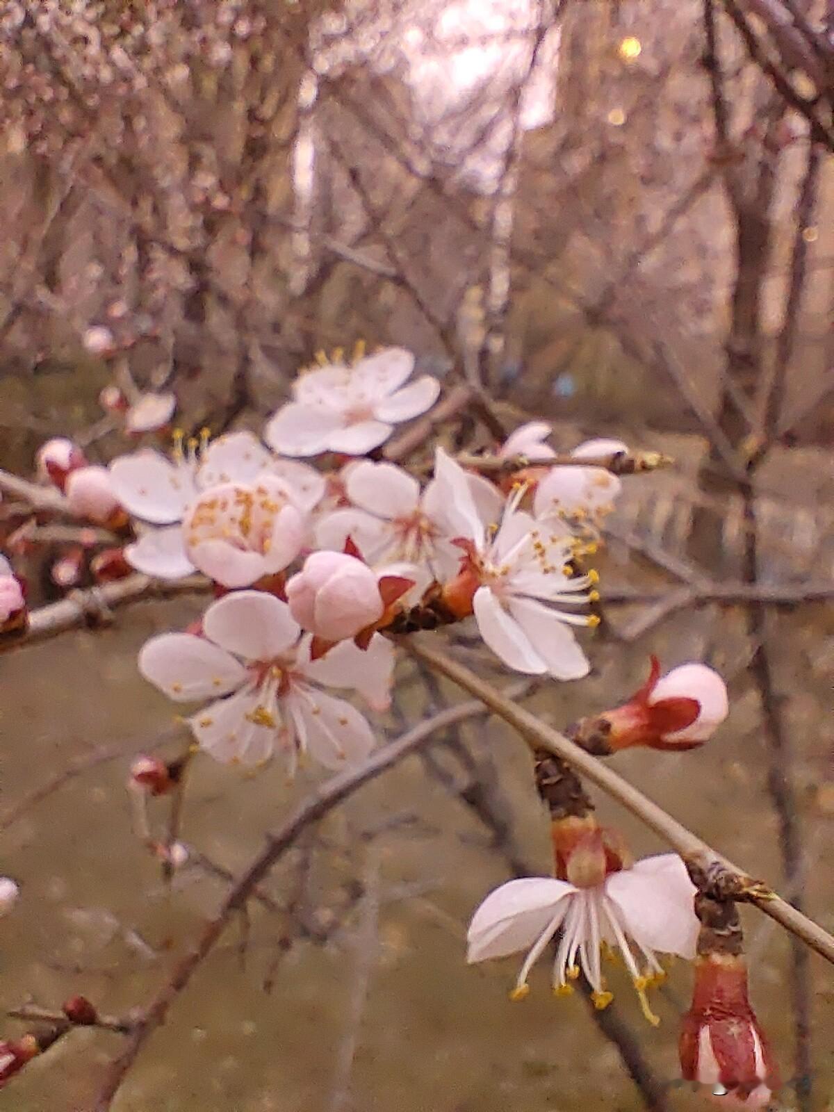 和知道你底牌的人翻脸，先攥住他的软肋这辈子最扎心的，就是掏心掏肺信任的人，