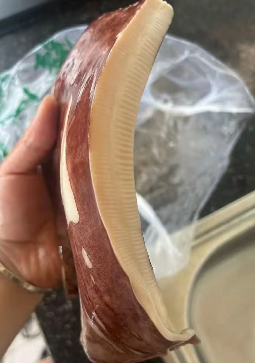 朋友送的鱿鱼，第一次见这样的