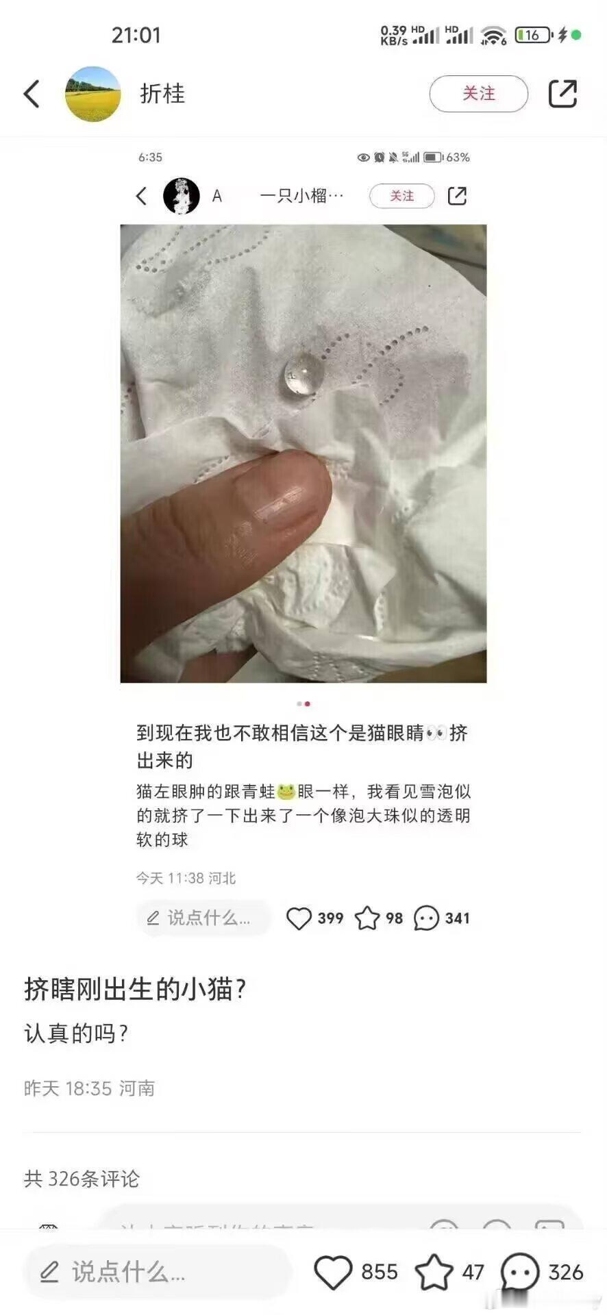 略猫人绞尽脑汁不如爱猫的灵机一动[捂脸哭][捂脸哭][捂脸哭]​​​