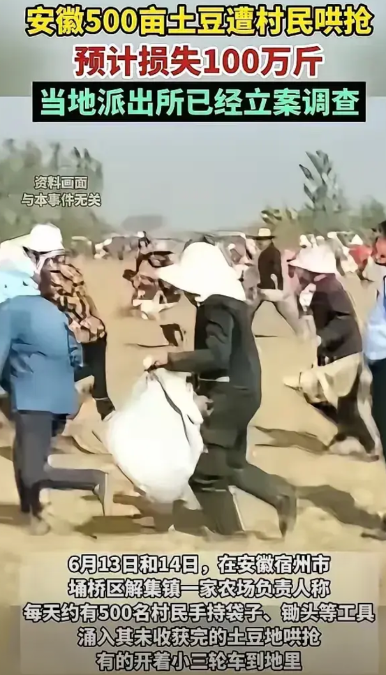 近几年发生的大部分哄抢事件都发生在地图上的这个圈儿里，不论是粮食还是瓜果蔬菜，