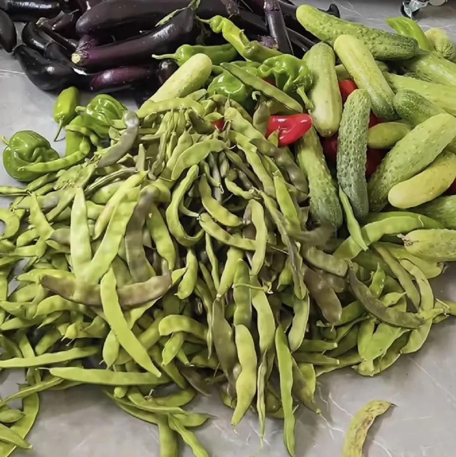 在网上看到东北的朋友说她们村里家家户户已经开始准备囤过冬的蔬菜了，虽然冬天有萝卜