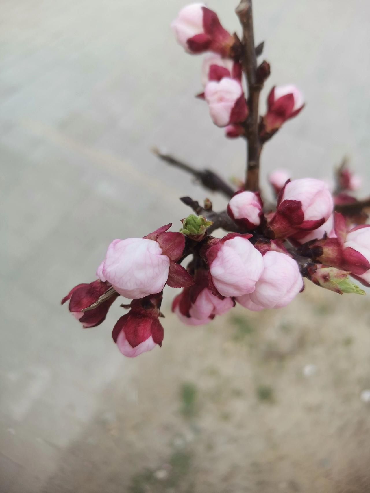 这才是做丈母娘的大智慧：我有个朋友，女儿刚结婚，她给说了她的几个想法，我觉得