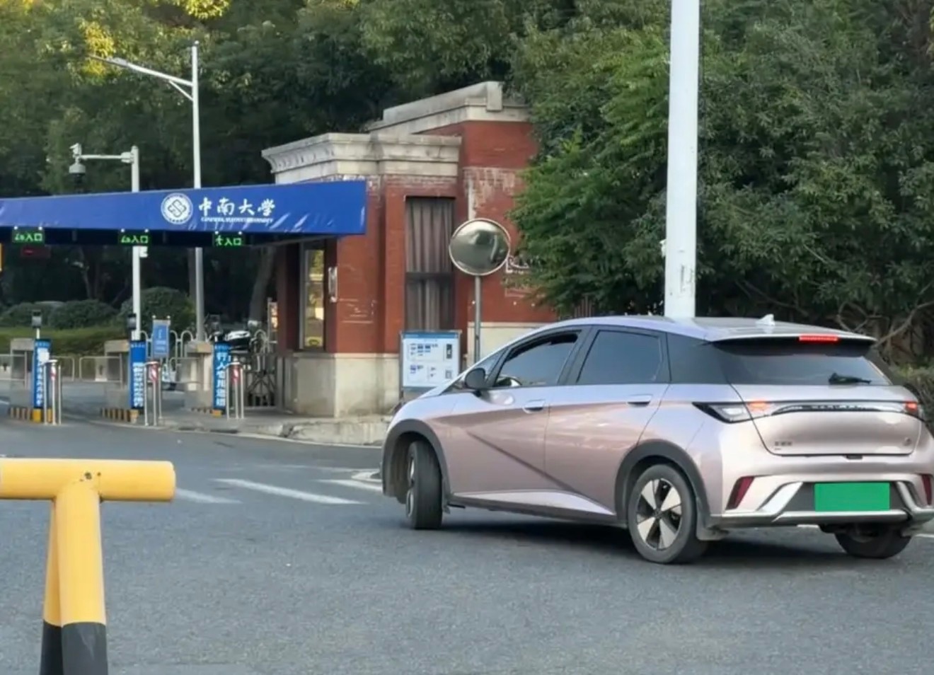 大家如今可以去高校里面逛逛，最多的汽车品牌就是迪子，很多高校老师就买的这个品牌，