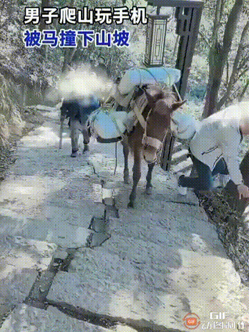 浙江杭州一处景区内，一名男子在山道上走着的时候，突然停下来玩手机，这时一位老人驱