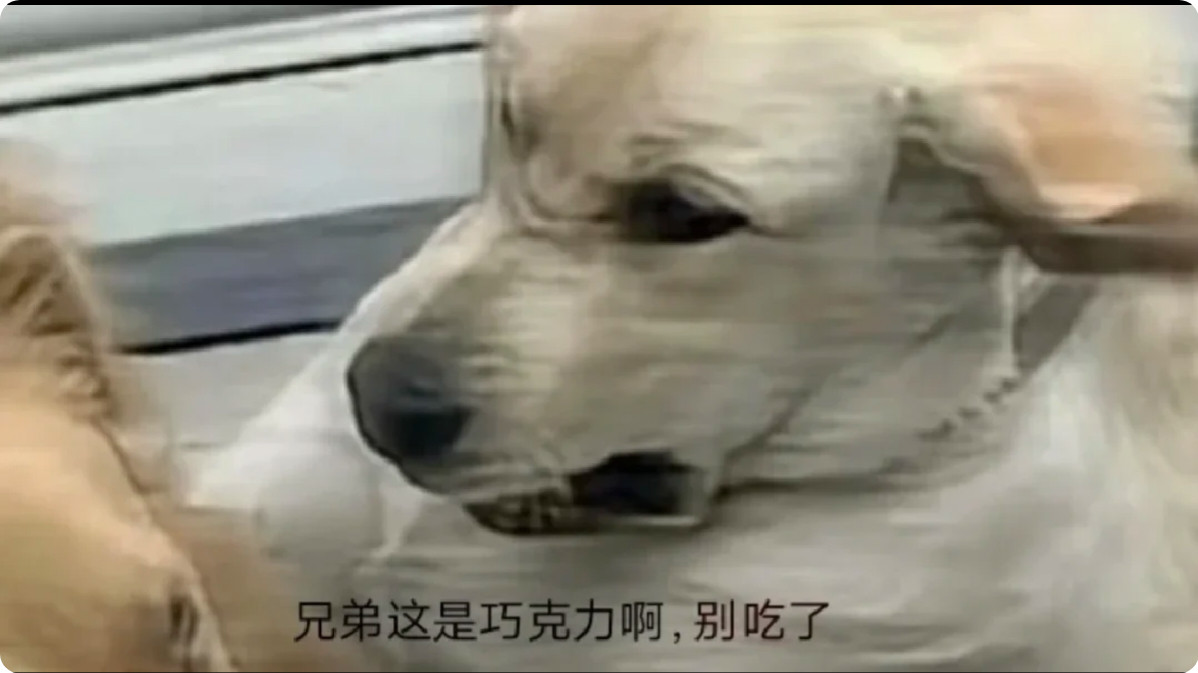 这是巧克力，别吃啊！