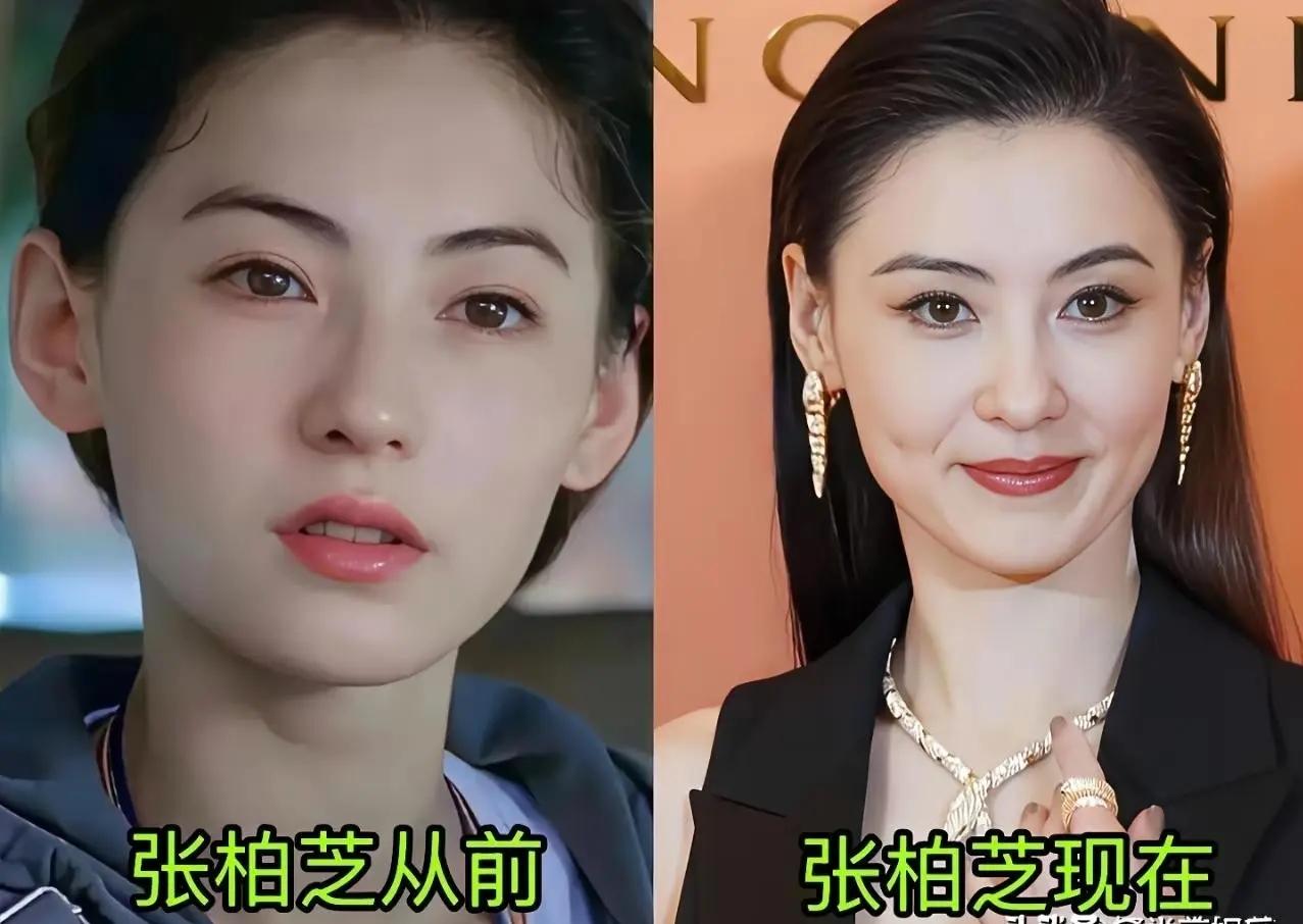 明星之美，从来不应该被定义，毕竟美人之美，从来不是象所有花都开同一种颜色，不同的