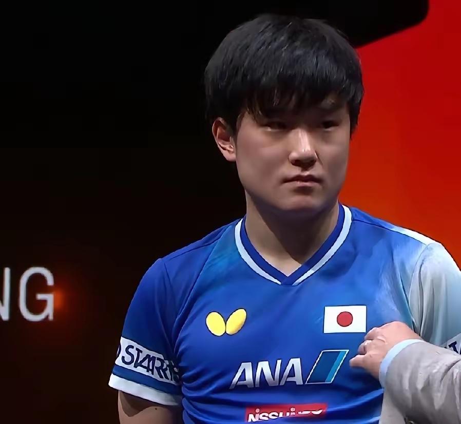 有个疑问，我一直不敢说，怕被骂，王楚钦刚因伤退赛，张本智和能高兴吗？他早期不