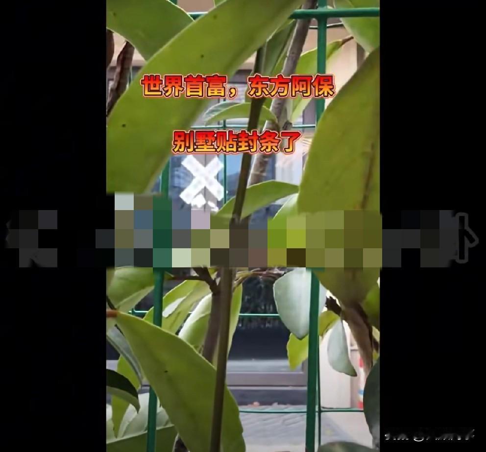 爆料：东方阿b私人别墅贴封条，豪车扣押！东方阿Bao