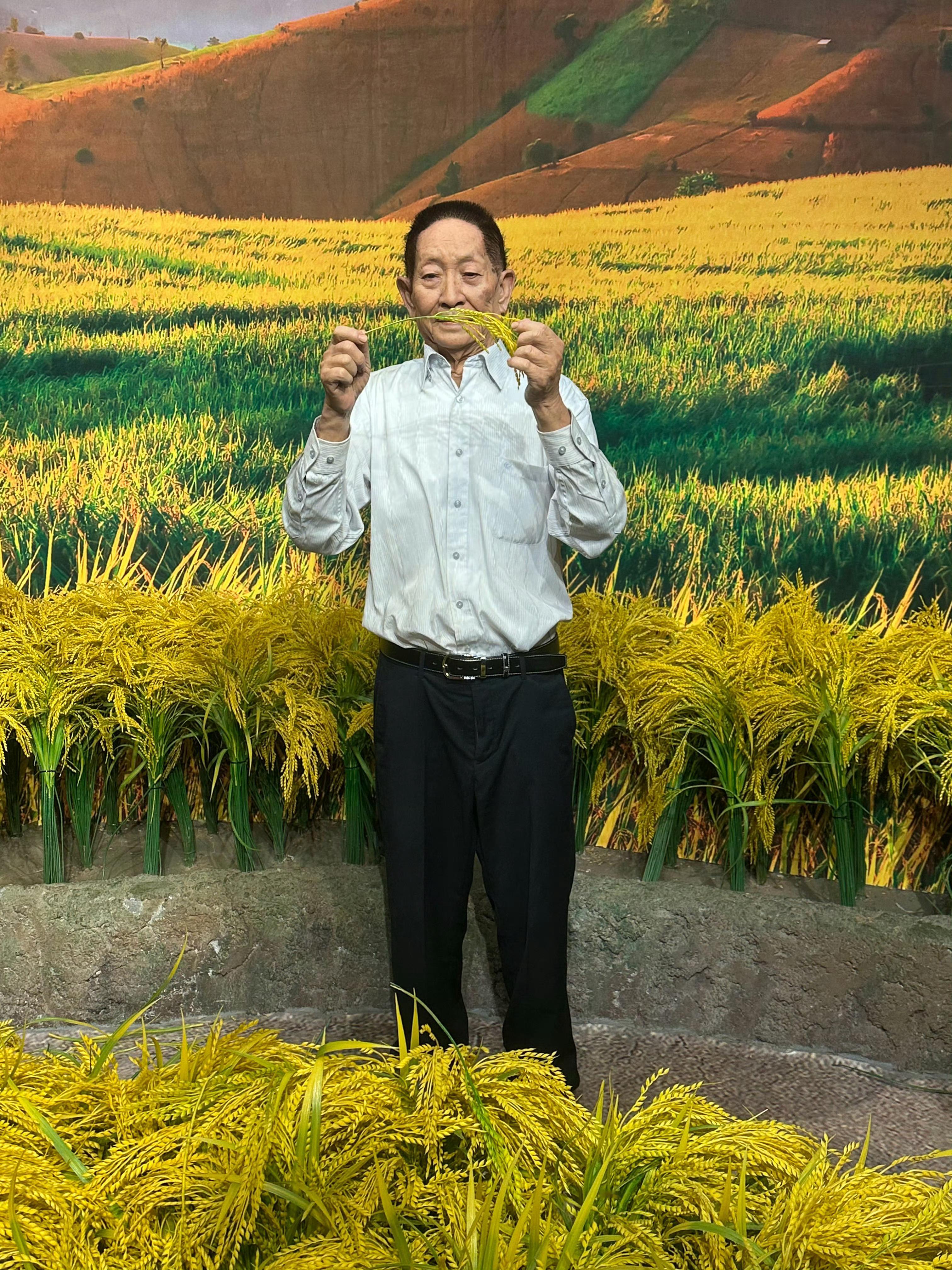 可以不点赞，但不能不致敬！袁老留下一粒种子，带着他的两个愿望去了远方，但永远带不