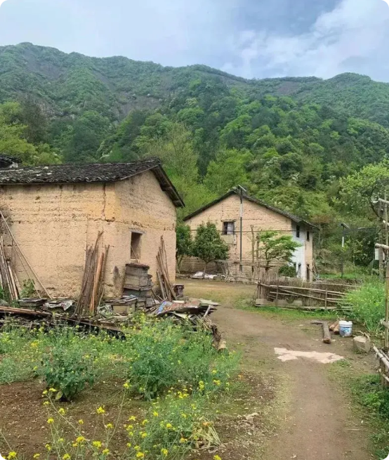 村里有位老大爷，生了6个儿子，按理说本该热热闹闹，子孙满堂，可如今却面临绝户危机