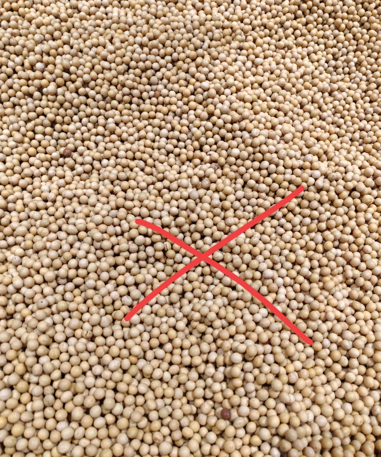 “这黄豆吃不了！”昨天我去超市买现烤面包，路过杂粮区，见到黄豆价格便宜，立刻心动