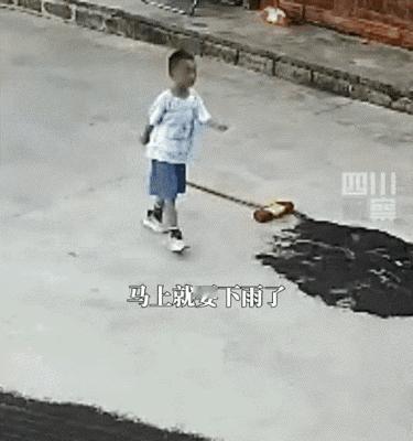 “完全没法解释！”贵州，6岁男孩正在院子玩，突然大叫着跑向奶奶，让奶奶赶紧收菜籽