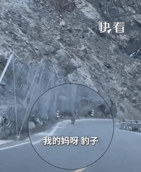 “这眼神也太厉害了！”新疆独库公路上，一对男女正驾车穿行山间，副驾女子随意往窗外