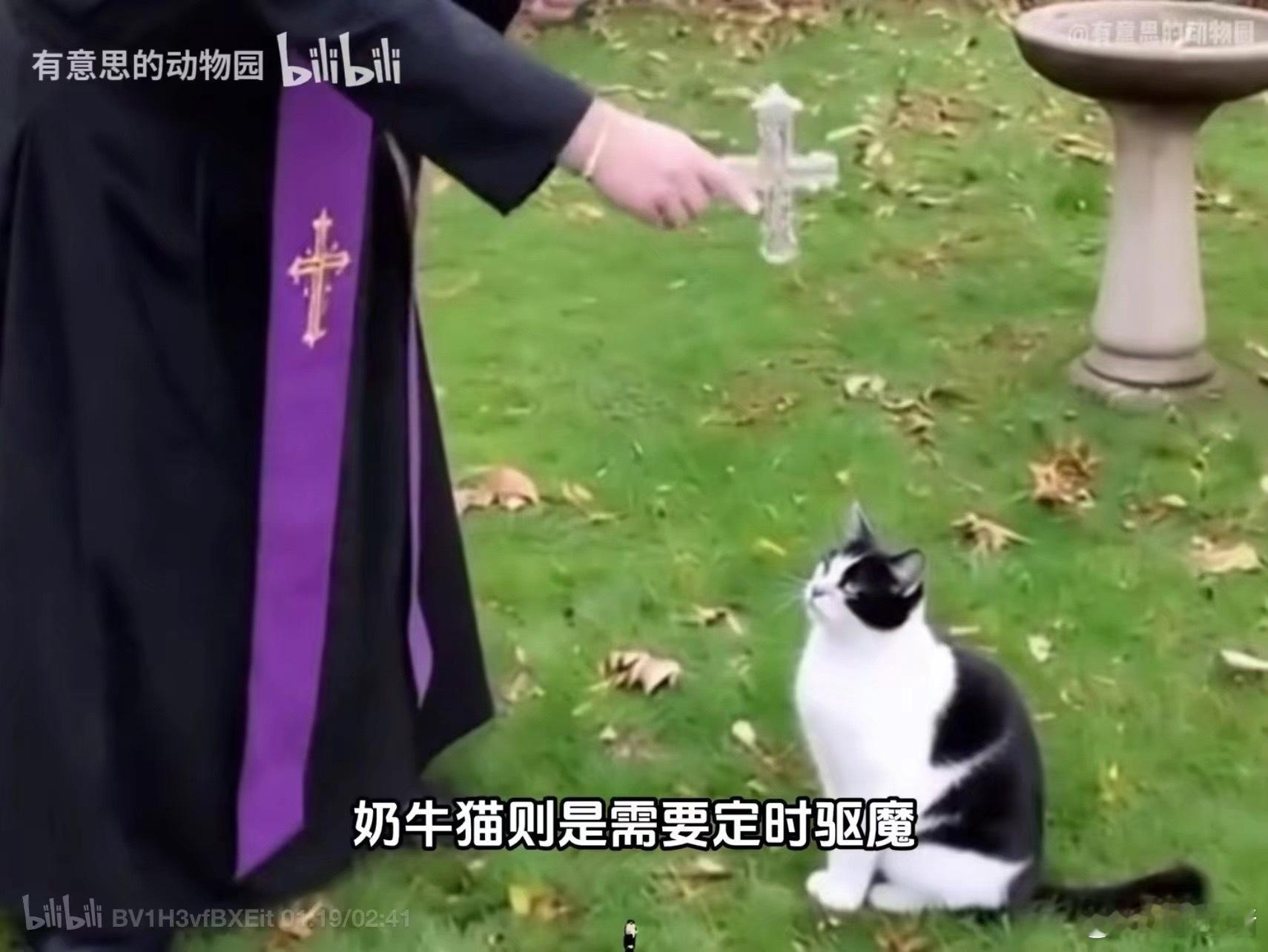 怎么真有啊啊啊啊啊啊啊啊啊啊啊啊啊啊啊啊啊啊啊啊啊啊啊啊啊啊啊啊啊啊啊啊