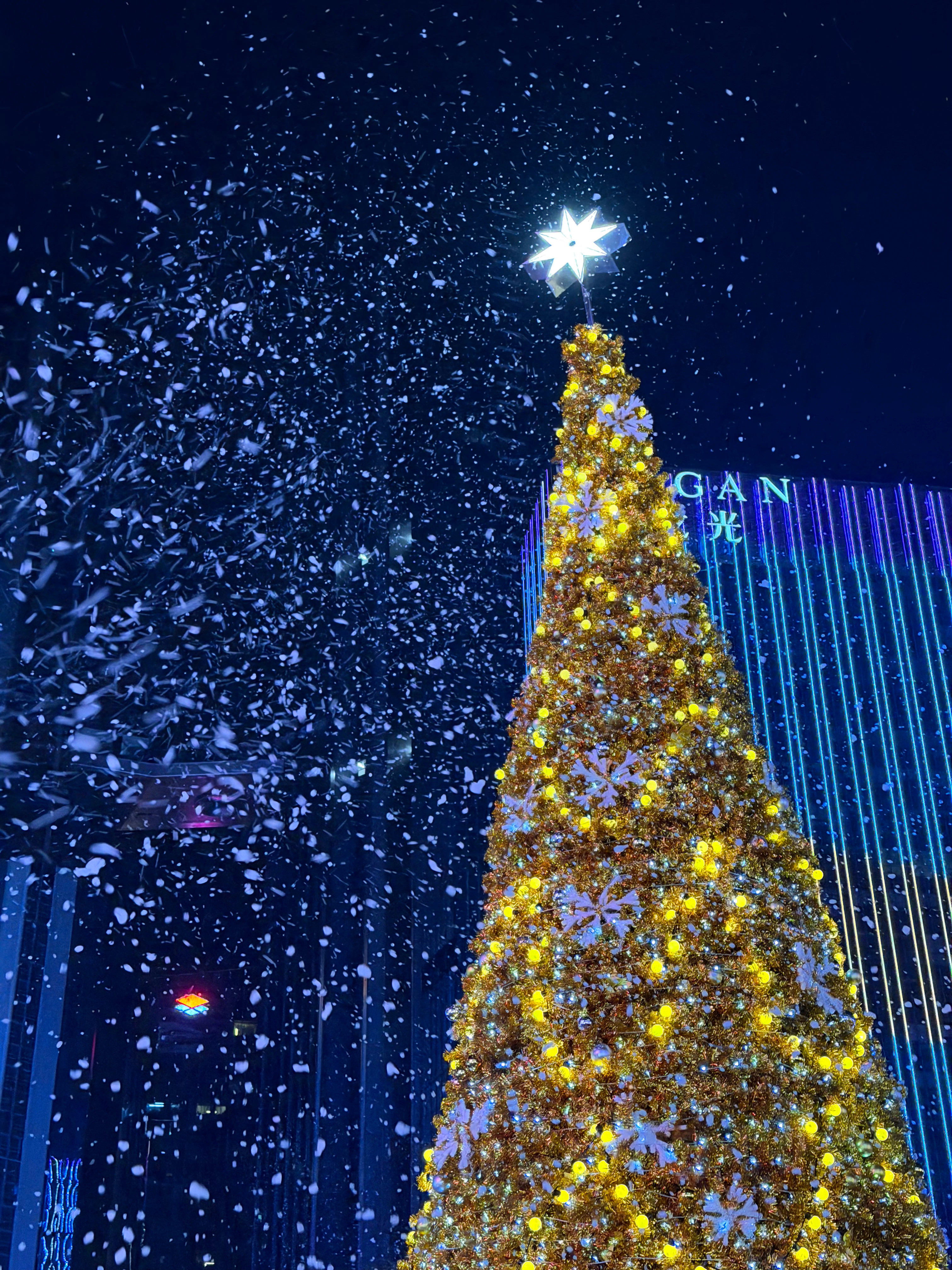 深圳本没有雪，但深圳有钱🤑，所以就有了雪深圳