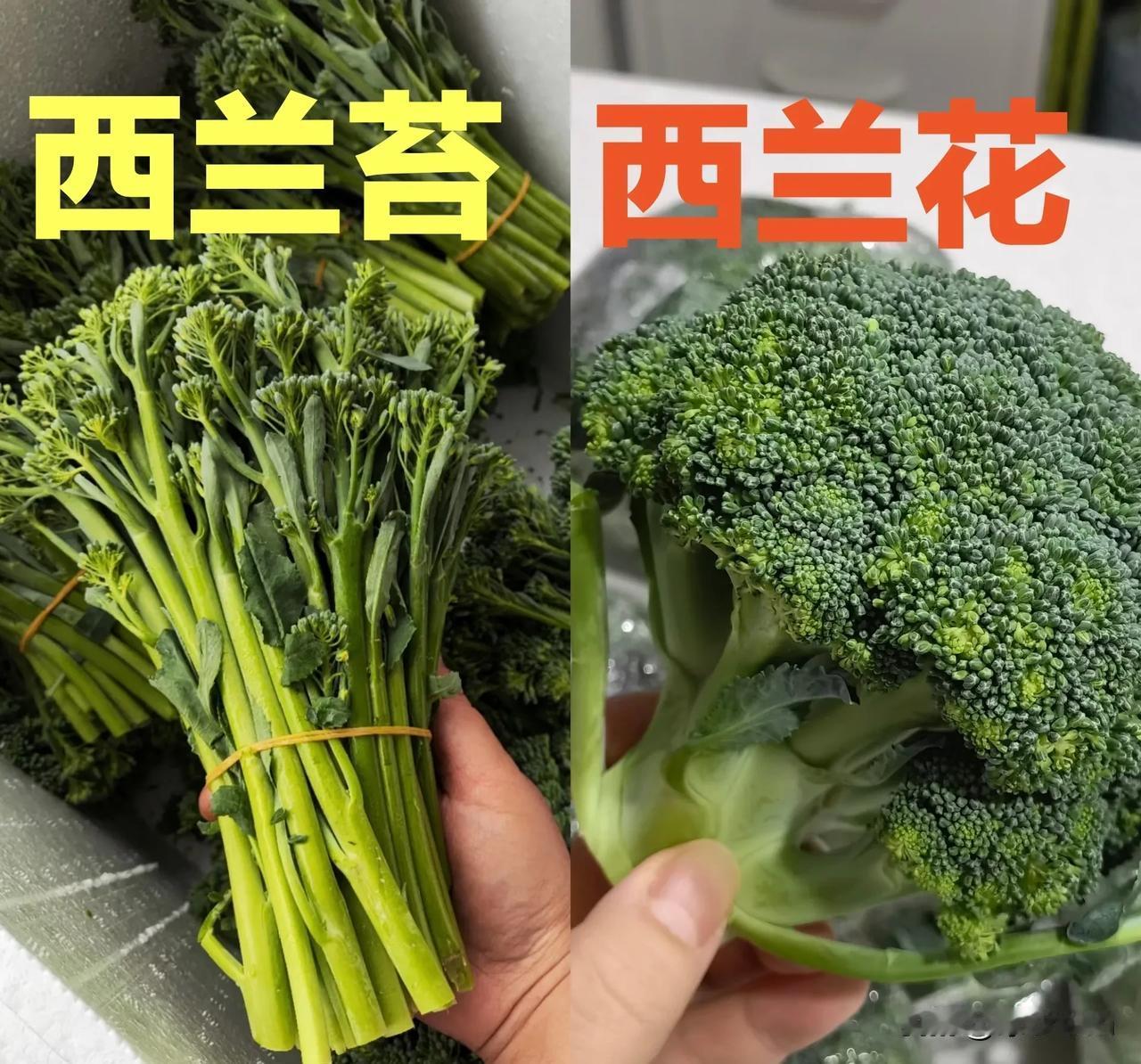 山姆类的会员超市，筛掉了一大批贪便宜的人，就比如超市里经常掰菜的“大妈们”。