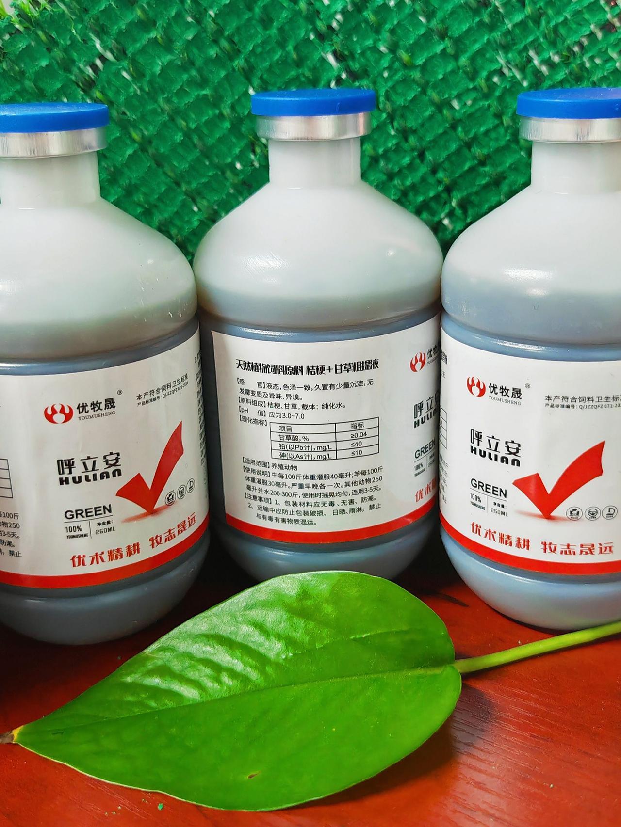 农村养羊牛羊养殖养羊人