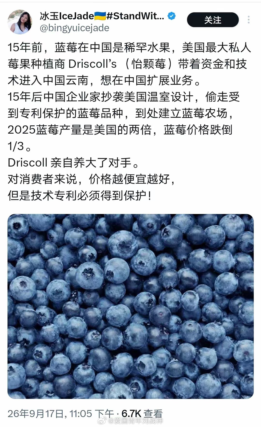 这位美国高华大婶有点搞笑！​中国大棚种植早就有三四十年历史。早年北方寒冬，没有大