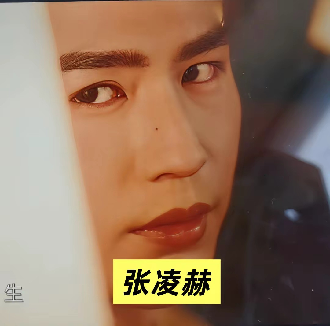 从右边稍侧一点的角度来看，张凌赫的这个侧面和单立文的相似度达到了70%，都有着深邃的眼睛，浓密的眉毛