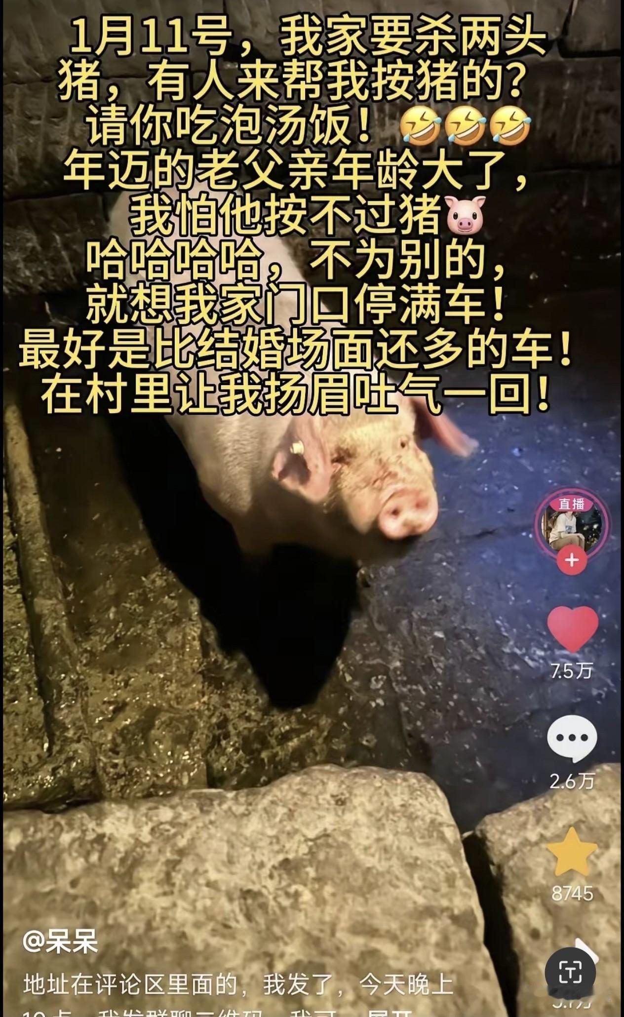 重庆合川这场杀猪宴太绝了！博主喊人帮忙，竟引来上百人凑热闹！刷到个超暖的事