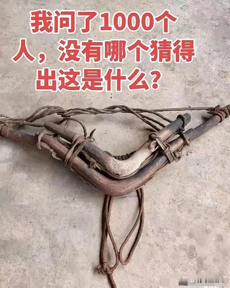 没在农村待过的人，大概率是没见过的。