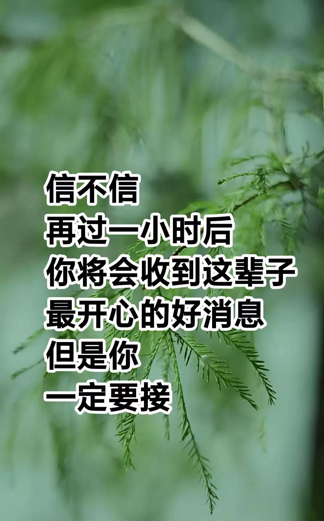 信不信？再过一小时后你将会收到这辈子最开心的好消息但是你你一定要接哦。